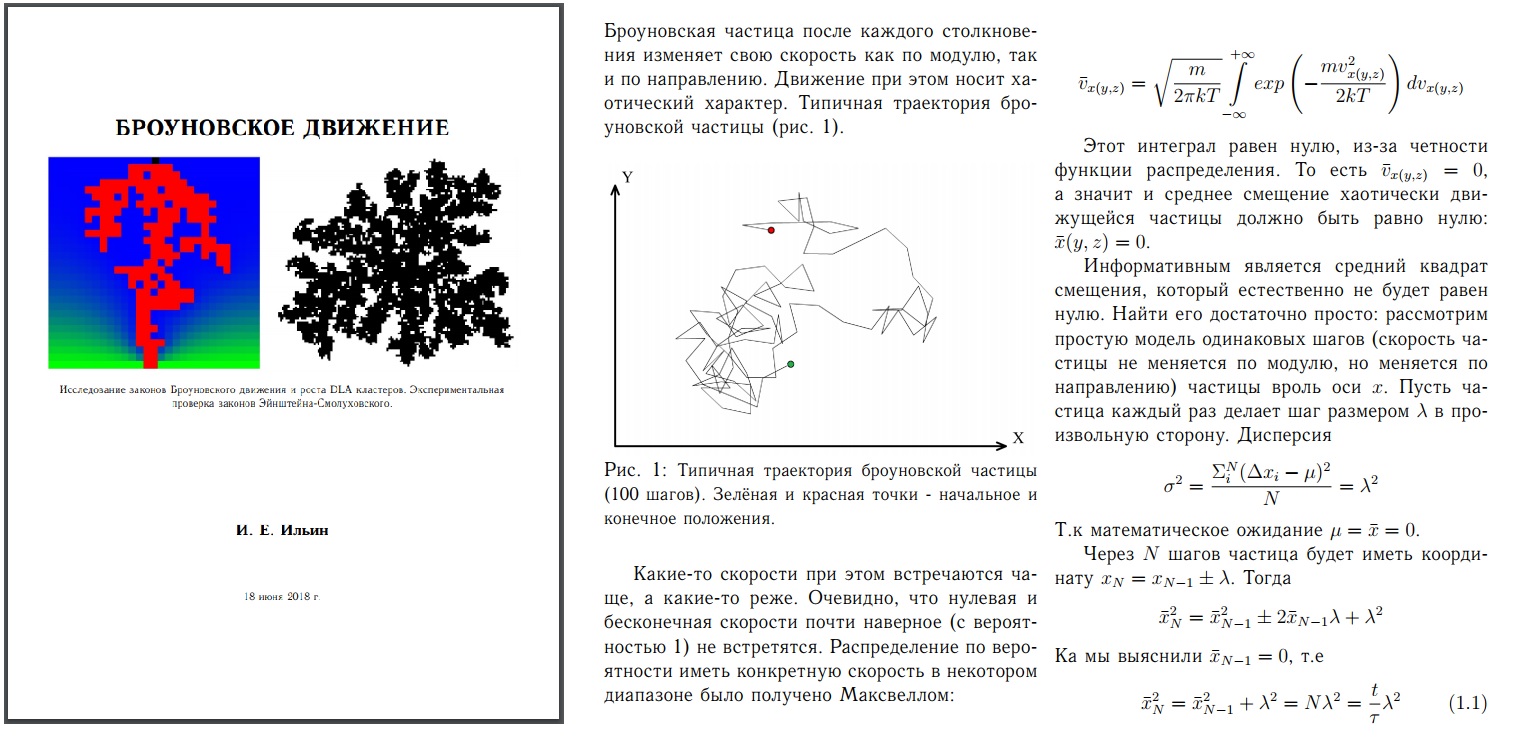 Обложка работы «Броуновское движение»